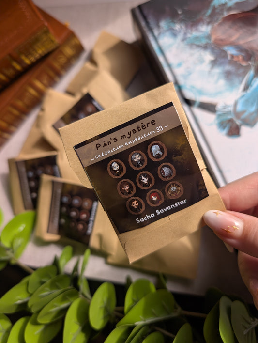 Sachet Mystère -  Clair Obscur - Expéditions 33